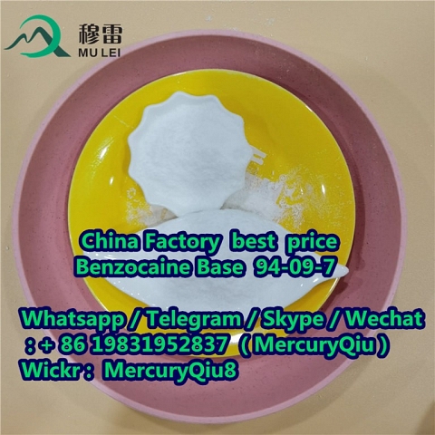 China supplier free sample High Purity 99% Benzocaine CAS No. 94-09-7 Manufacturer Sotocks Supply