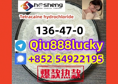 136-47-0  Tetracaine hydrochloride 