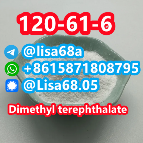 CAS 120-61-6 Dimethyl terephthalate C10H10O4