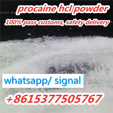 Procaine supplier Procaine HCl CAS 51-05-8 Procaine Hydrochloride