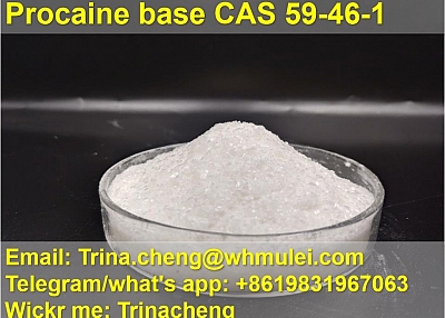 Safety custom clearance Procaine powder procaine base CAS 59-46-1