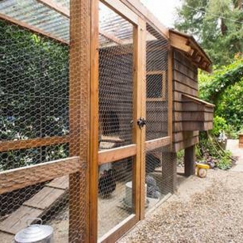 Chicken Wire Mesh Used in Garden as Fence, Raised Bed, Trellis