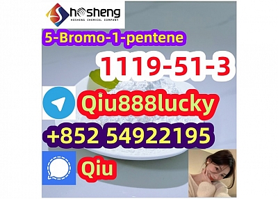 1119-51-3 5-Bromo-1-pentene