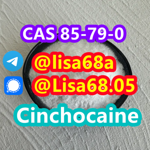 CAS 85-79-0 Cinchocaine C20H29N3O2