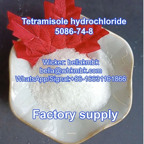 Factory supply Tetramisole hcl cas 5086-74-8 on hot sa;e