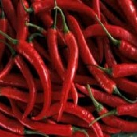 Long Red Hot Cayene Peppers available