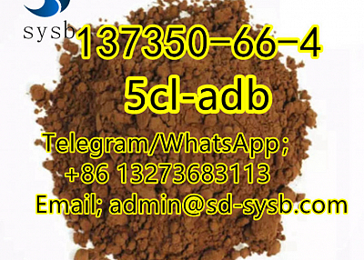  21 A  137350-66-4 5cl-adb