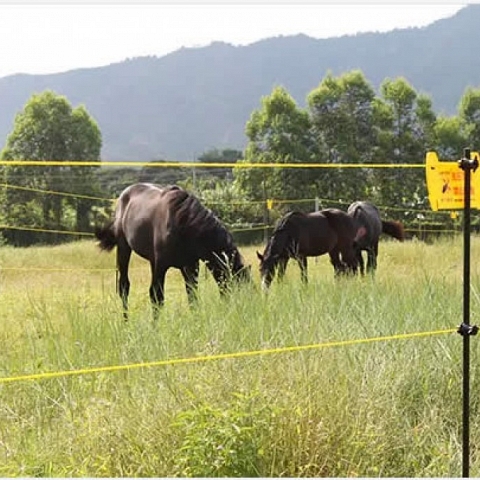 ELECTRIC WIRE FENCE