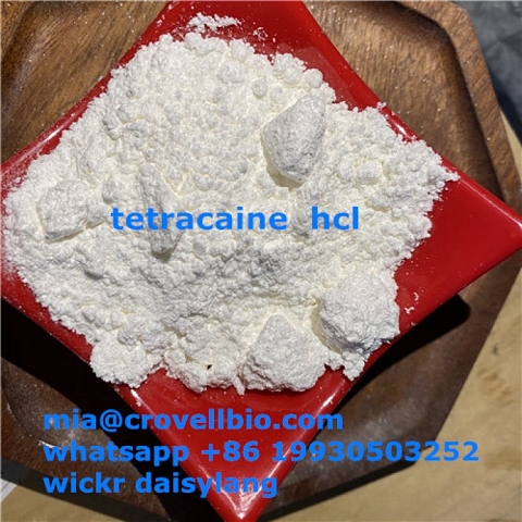 tetracaine supplier in China ( whatsapp +86 19930503252 