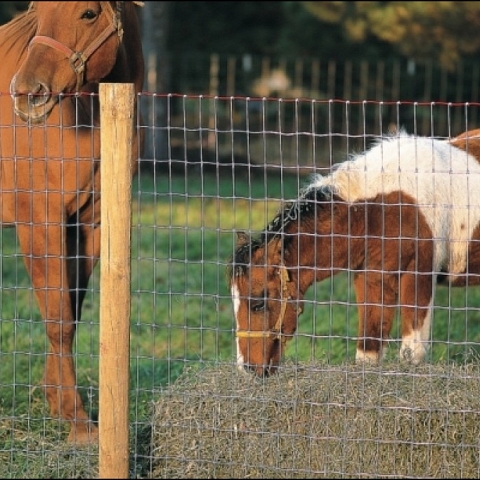 HORSE FENCE