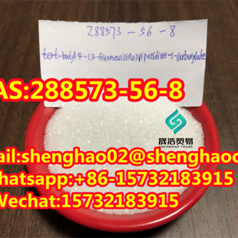 Hot Sale Tert-Butyl 4- (4-fluoroanilino) CAS: 288573-56-8 with Best Price 99.9% white powder