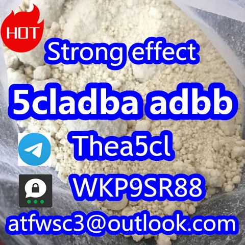 5cladba Cannabinoid 5CL-ADB powder 5cl-adb in stock 5cladb 5cladba 