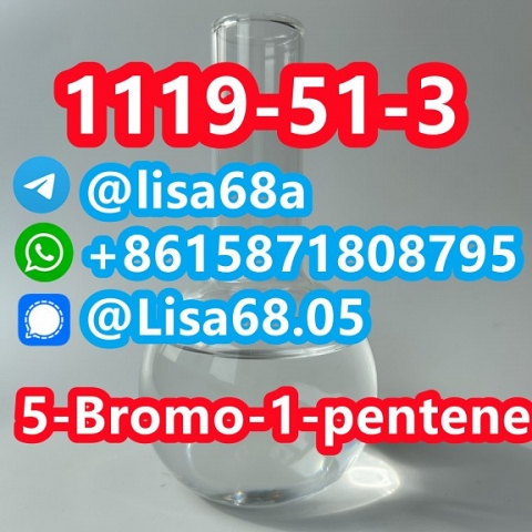 CAS 1119-51-3 5-Bromo-1-pentene C5H9Br