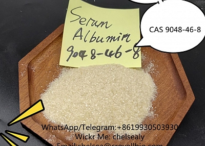 Factory Bovine albumin price CAS 9048-46-8 from China suppliers.WhatsApp:+8619930503930