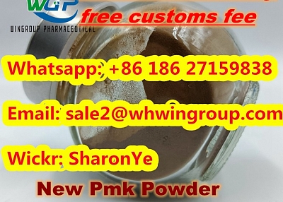 +8618627159838 New Pmk Powder CAS 52190-28-0 with High Quality and Safe Delivery to Europe/Canada