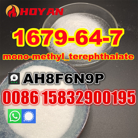 MMT raw powder Cas 1679-64-7 monomethyl terephthalate good price