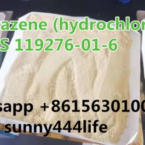  Protonitazene (hydrochloride) CAS 119276-01-6