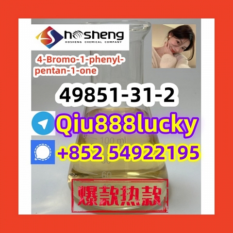 49851-31-2  4-Bromo-1-phenyl-pentan-1-one 