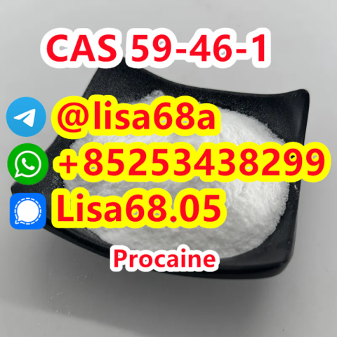 CAS 59-46-1 Procaine C13H20N2O2