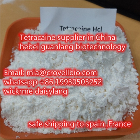 Tetracaine CAS 136-47-0 supplier in China （ mia@crovellbio.com  whatsapp +86 19930503252 ）