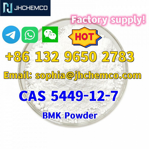 Germany warehouse in stock BMK Powder CAS 5449-12-7 BMK Glycidic Acid (sodium salt)