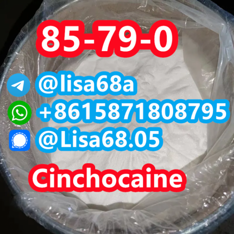 CAS 85-79-0 Cinchocaine C20H29N3O2