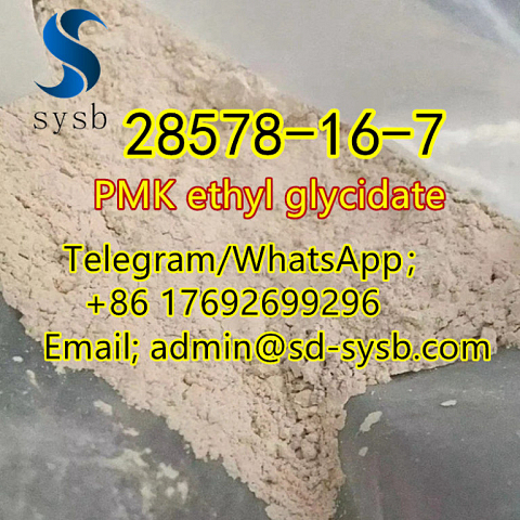  107 CAS:28578-16-7 PMK ethyl glycidate