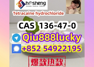  136-47-0  Tetracaine hydrochloride  