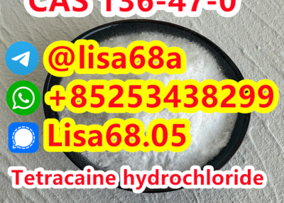 CAS 136-47-0 Tetracaine hydrochloride C15H25ClN2O2