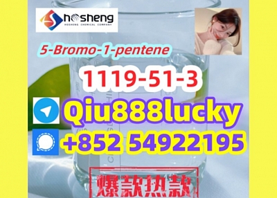 1119-51-3  5-Bromo-1-pentene