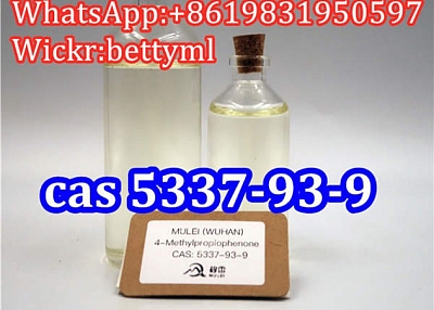 Cas:5337-93-9 factory 4-Methylpropiophenone 5337-93-9 seller favorable price safe delivery