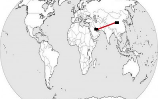 UAE and China (Sylodium, import export business)