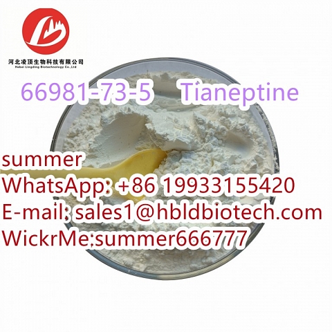 The antidepressant drug Tianeptine CAS:66981-73-5