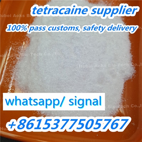 Tetracaine HCL powder