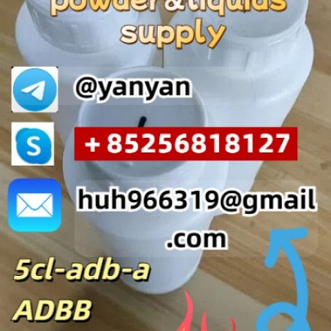 Sell 5cl adbb powder 4cl 5cladbb China supplier