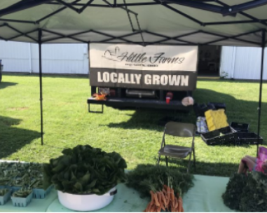 Locally grown, fresh vegetables