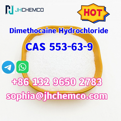 CAS 553-63-9 Dimethocaine Hydrochloride Factory supply high qulity