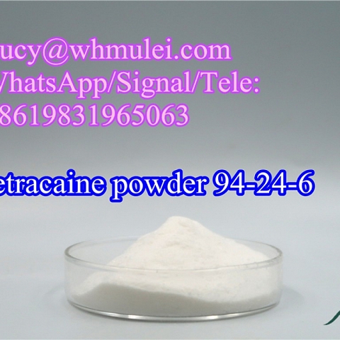 Tetracaine Powder CAS 94-24-6 Local Anesthetic Chemical Raw Material Tetracaine for Pain Killer 