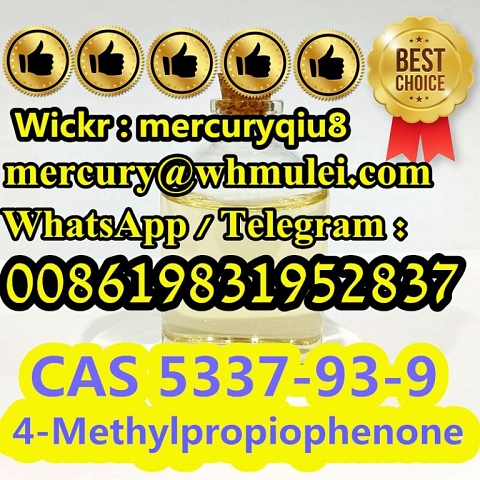 4-Methylpropiophenone,CAS 5337-93-9 (1-(p-Tolyl)propan-1-one 1-(4-methylphenyl)propan-1-one