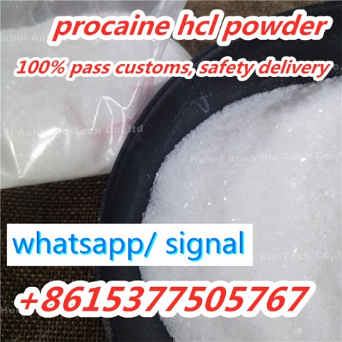 sell procaine hcl cas 59-46-1 procaine base in stock