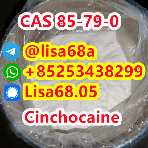 CAS 85-79-0 Cinchocaine C20H29N3O2