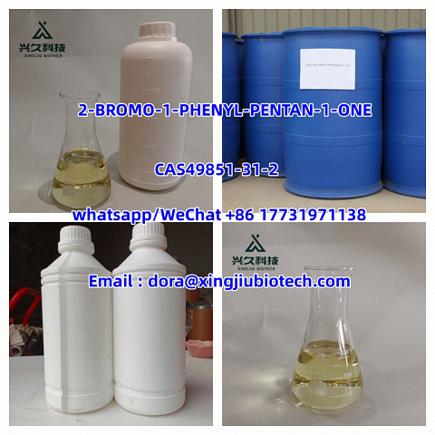 China Supply 2-BROMO-1-PHENYL-PENTAN-1-ONE 49851-31-2 Manufacturer