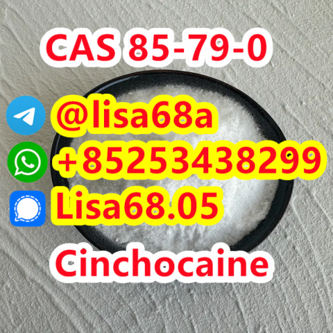 CAS 85-79-0 Cinchocaine C20H29N3O2