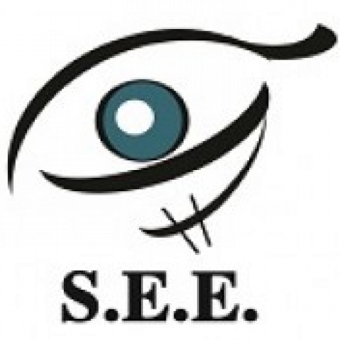 Sino Expert Enterprise (S.E.E.) 