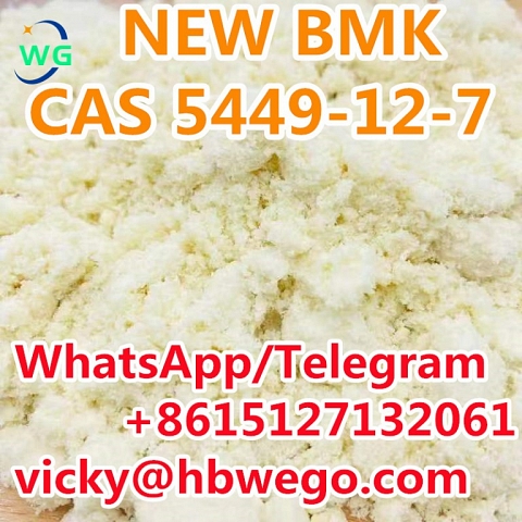 CAS 5449-12-7 New Bmk Powder BMK Glycidic Acid (Sodium Salt)