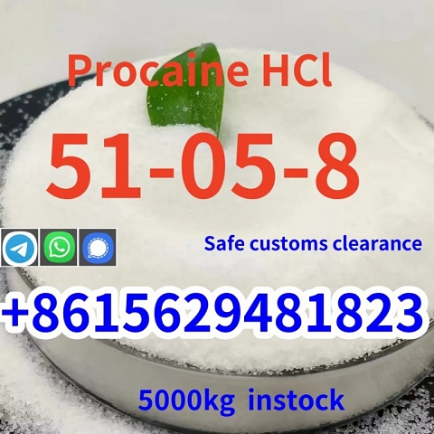 High quality cas 51-05-8 procaine Hcl in stock