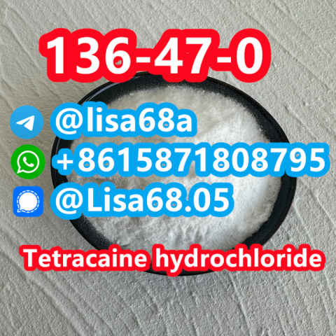 CAS 136-47-0 Tetracaine hydrochloride C15H25ClN2O2