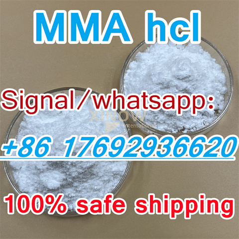 Methylamine hydrochloride MMA HCL MMA 593-51-1 99 Purity