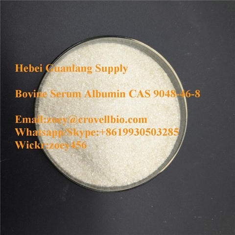  Bovine Serum Albumin supplier  / Bovine albumin powder CAS 9048-46-8