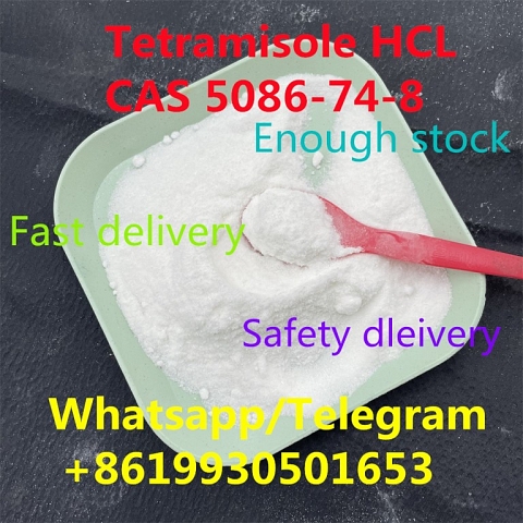 N-Methylbenzamide chinese supplier sell with CAS 613-93-4 (whatsapp +8619930501653)